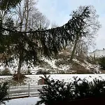 Regina 3* Bad Freienwalde