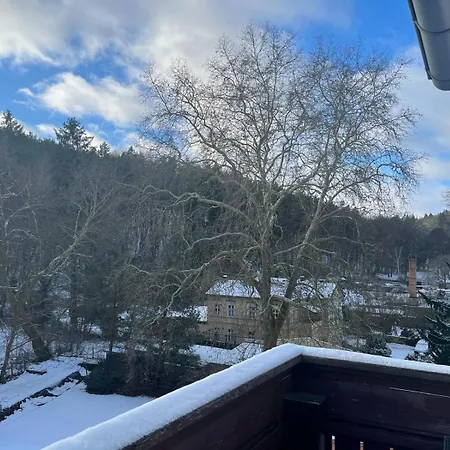 Regina Гостевой дом 3*