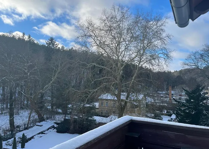 Regina Guest house 3*